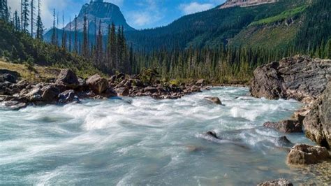 List Of The Shortest Rivers In The World Nativeplanet