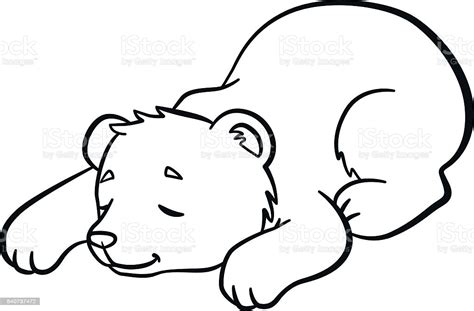 Coloring Pages Wild Animals Little Cute Baby Bear Sleeps