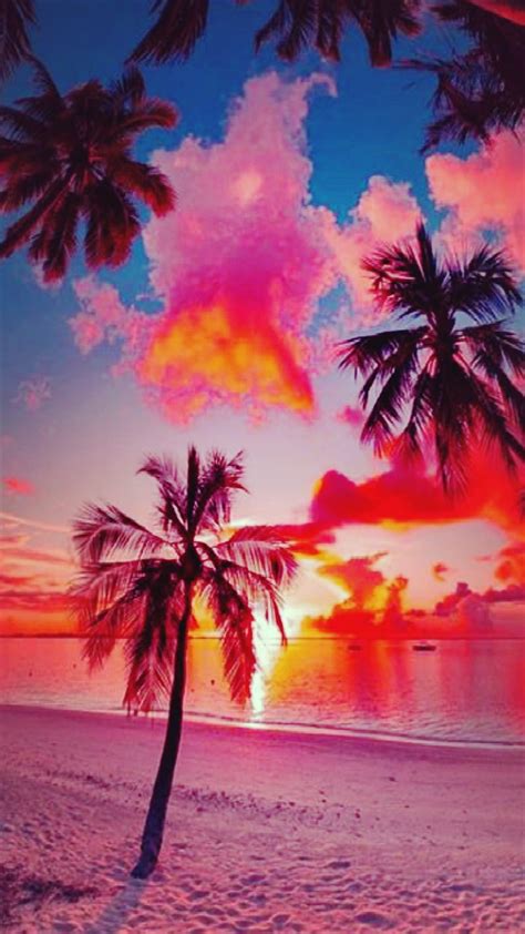 Pink Paradise Beach Colorful Ocean Palm Sand Sea Sunset Tree
