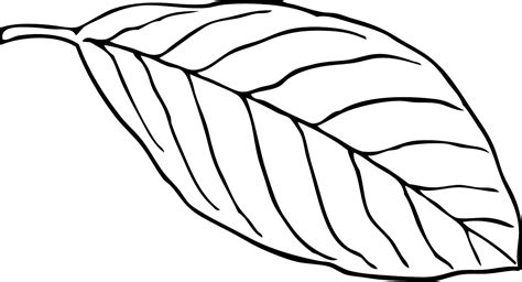 Tropical Leaf Coloring Page Coloring Pages
