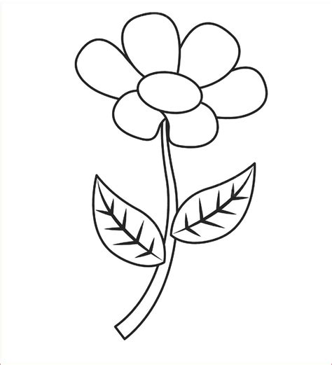 Sketsa Bunga Flora Keren