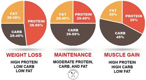 You’ve likely heard that fiber is an essential part of your diet. Vegan Diet Macros - Diet Plan