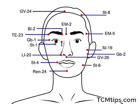 Free Face Acupressure Points Chart 6 Acupoints That Help To Reduce