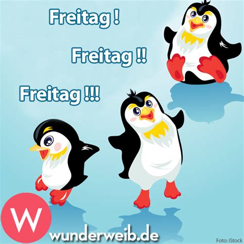 Lustige guten morgen sprüche guten morgen gruss gute nacht freitag wochenende guten morgen freitag lustige weisheiten lebensweisheiten witze wähle einfach das gewünschte bild aus der kategorie freitag der 13 glückstag bilder und klicke auf einen der darunter angezeigten codes. Die schönsten Bilder und Sprüche zum Wochenende | Freitag ...