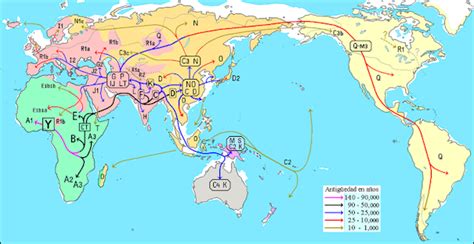 Out Of Africa And Theories About Early Modern Human Migrations Facts