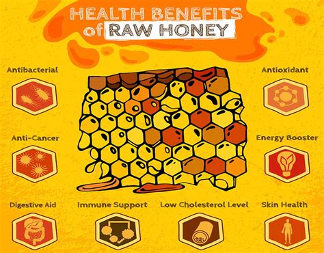 Learn more about honey uses, benefits, side effects, interactions, safety concerns, and effectiveness. 10 Pure Honey Products That You Can Trust ...