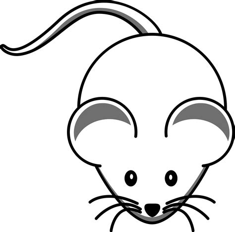 Rat Drawing For Kids Neo Coloring