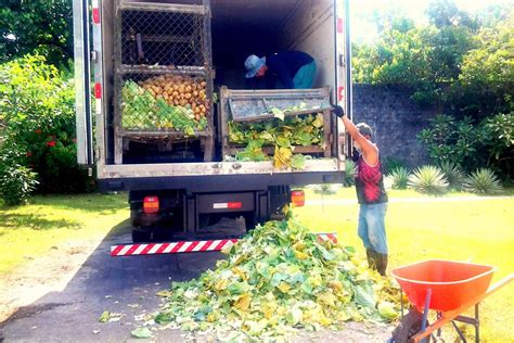 Tecnica Que Revolucionou A Produção E A Oferta De Alimentos