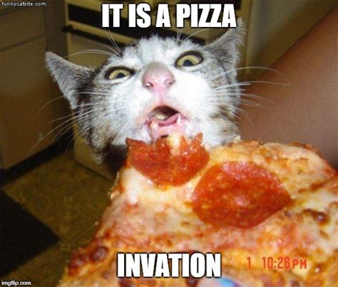 Pizza Cat Imgflip