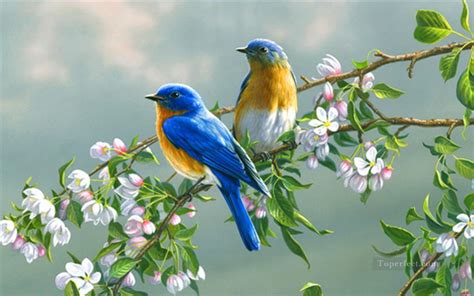 Bluebirds With Flowers Birds Painting In Oil For Sale