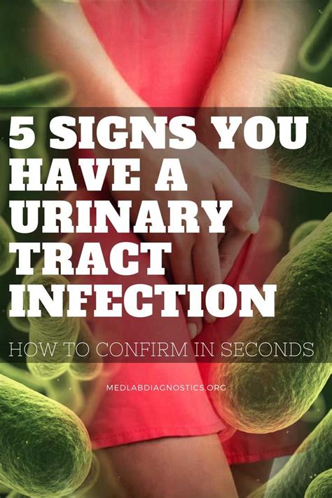 urinary tract infection 5 signs you have a uti urinary tract infection remedies urinary