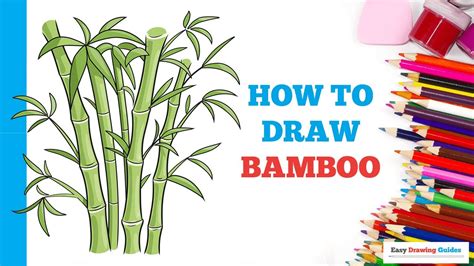 How To Draw Bamboo In A Few Easy Steps Drawing Tutorial For Beginner