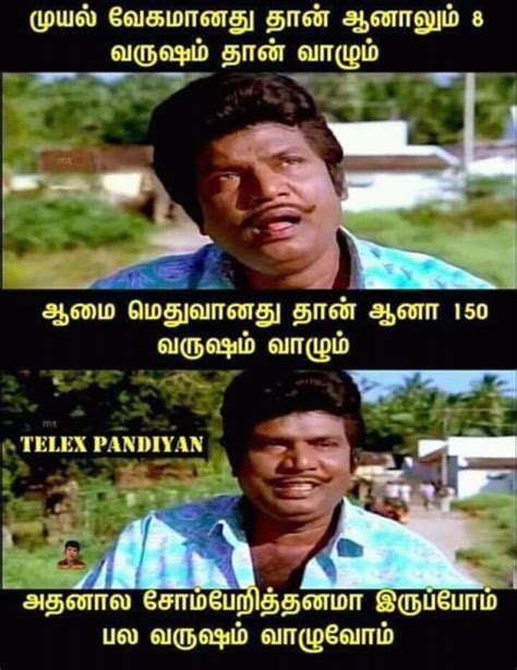 13 new tamil funny meme picture 2022 tamil funny memes very funny jokes funny meme pictures