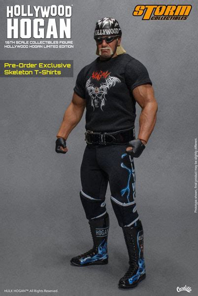 Wwe Wrestling Hulk Hogan Hollywood Figurky A Sošky Fate Gate
