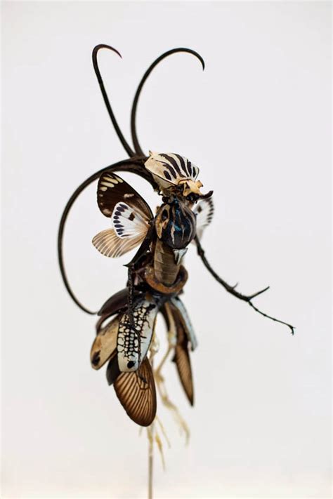 Flamboyant Fairy Like Sculptures Created With Body Parts