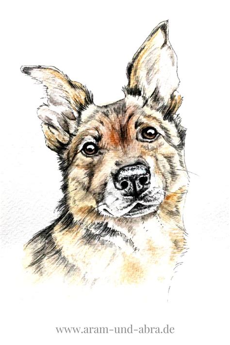 Es war dieses warme stimmungsvolle licht, was mich an diesem foto reizte. Hund malen lassen - Auftragsarbeiten bei Aram und Abra ...