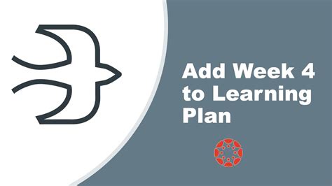Week4 Learning Plan Youtube