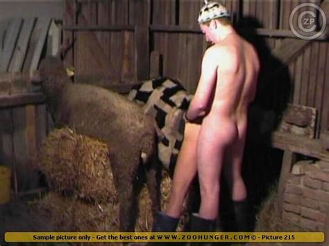 Zoo Sex Men Fucking Crazy Slut And Dirty Sheep On Farm. 