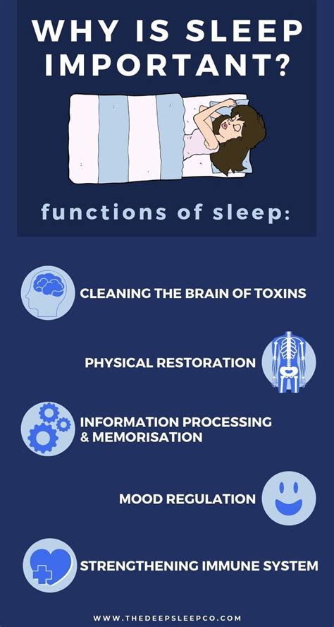 Why Is Sleep Important Sleep Infographic Sleephealth Why Is Sleep