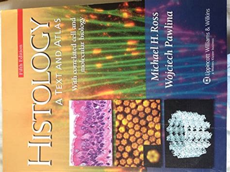 0683302426 Histology A Text And Atlas By Ross Michael H Kaye