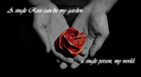 34 Amazing Red Rose Love Quotes Godfather Style