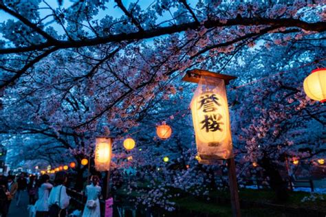 Ultimate Guide To The Cherry Blossom Festival In Japan [2023]