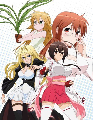 Sekirei Anime Reviews By Shinypate Anidb