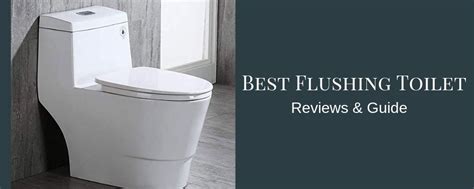 Best Flushing Toilet Reviews In March 2020 In 2020 Flush Toilet