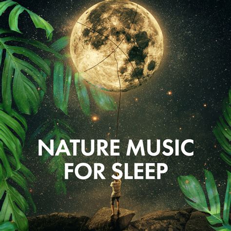 Nature Music For Sleep Album By Peaceful Nature Music Spotify