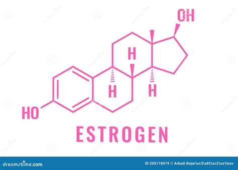 Estrogen Hormone Vector Formula Stock Vector Illustration Of Chemistry Estrogen 205118419
