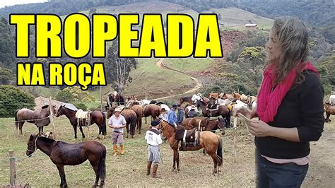 cavalgada em alfredo wagner vida comunitária na roÇa youtube