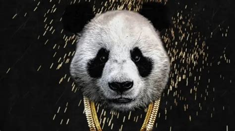 Panda By Desiigner Lyrics And Review Justrandomthings