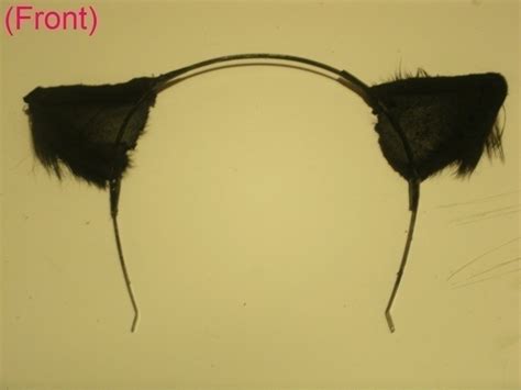 Realistic Cat Ears · A Pair Of Cat Ears · Construction And Sewing On