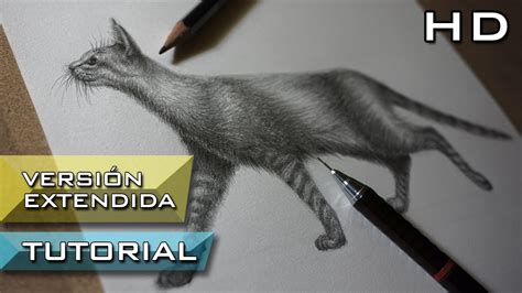 Cómo Dibujar Un Gato Realista A Lápiz Paso A Paso Tutorial De Dibujo