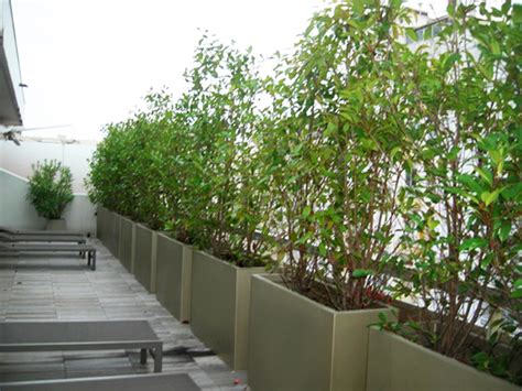 CREER UN BRISE-VUE - BACS-ET-JARDINS