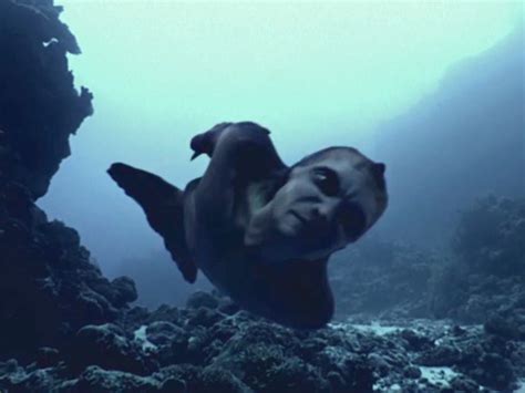Mermaid Documentary Smells Fishy To Critics
