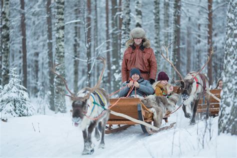 Day Time Reindeer Farm Visit And Reindeer Safari Visit Finnish Lapland