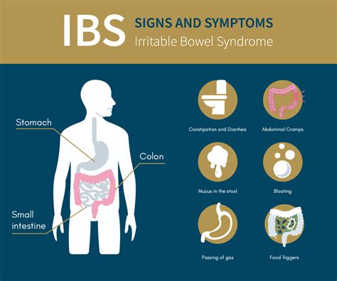 Irritable Bowel Syndrome Symptom Treatment