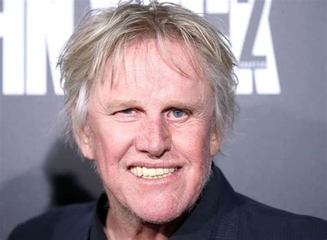 Gary Busey Charged With Sex Crimes After Allegedly Groping Women At Convention