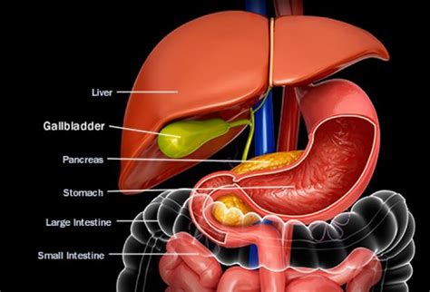 Signs To Look For When Dealing With Different Gallbladder Conditions