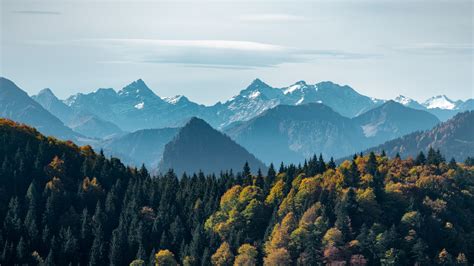 Download 1920x1080 Wallpaper Adorable View Mountains And Green Trees