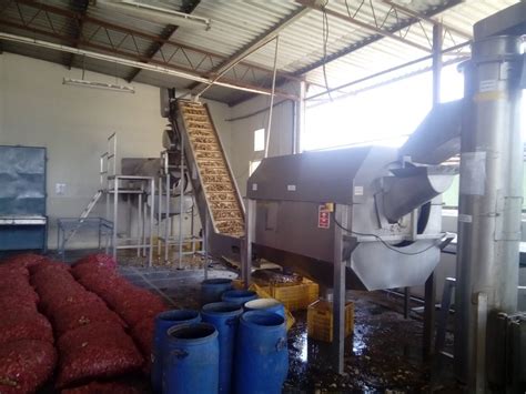 Semi Automatic Ginger Processing Machine At Best Price In Pune Id 2850583221555