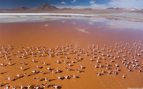 Atacama Desert Wallpapers Wallpaper Cave