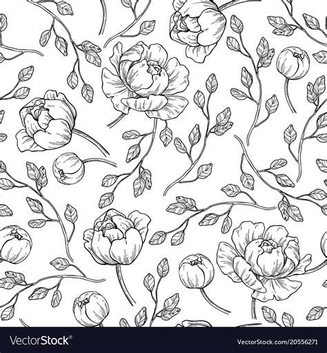 Peony Flower Seamless Pattern Drawing Hand Vector Image