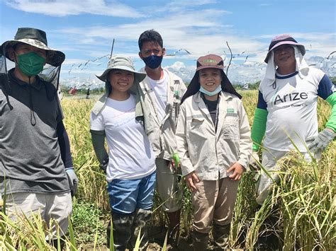 Field Trial Shows Opportunity For Filipino Rice Farmers To Plant
