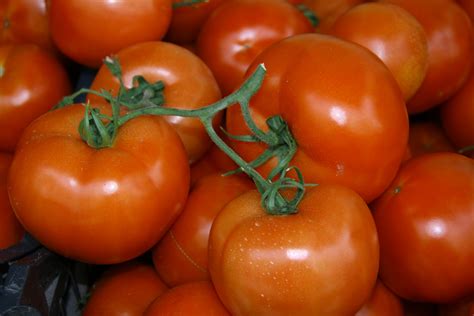 Red Tomatoes Free Stock Photo Public Domain Pictures