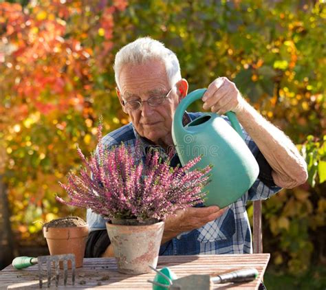 Old Man Watering Plants Stock Photo Image Of Color 101724012
