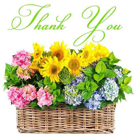 Colorful Flowers Thank You Card Stock Image Colourbox
