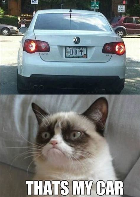 Thats My Car Grumpy Cat Meme Grumpy Cat Cat Memes