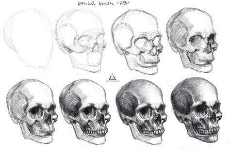 Skull Steps By Asteltainn On Deviantart Skulls Drawing Skull Art
